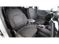 Ford Focus Turnier 1.5 EcoBlue ST-Line X Aut LED AHK Silber - thumbnail 14