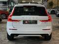 Volvo XC60 R Design Harman-Kardon Pano Totwinkel Cam Weiß - thumbnail 3