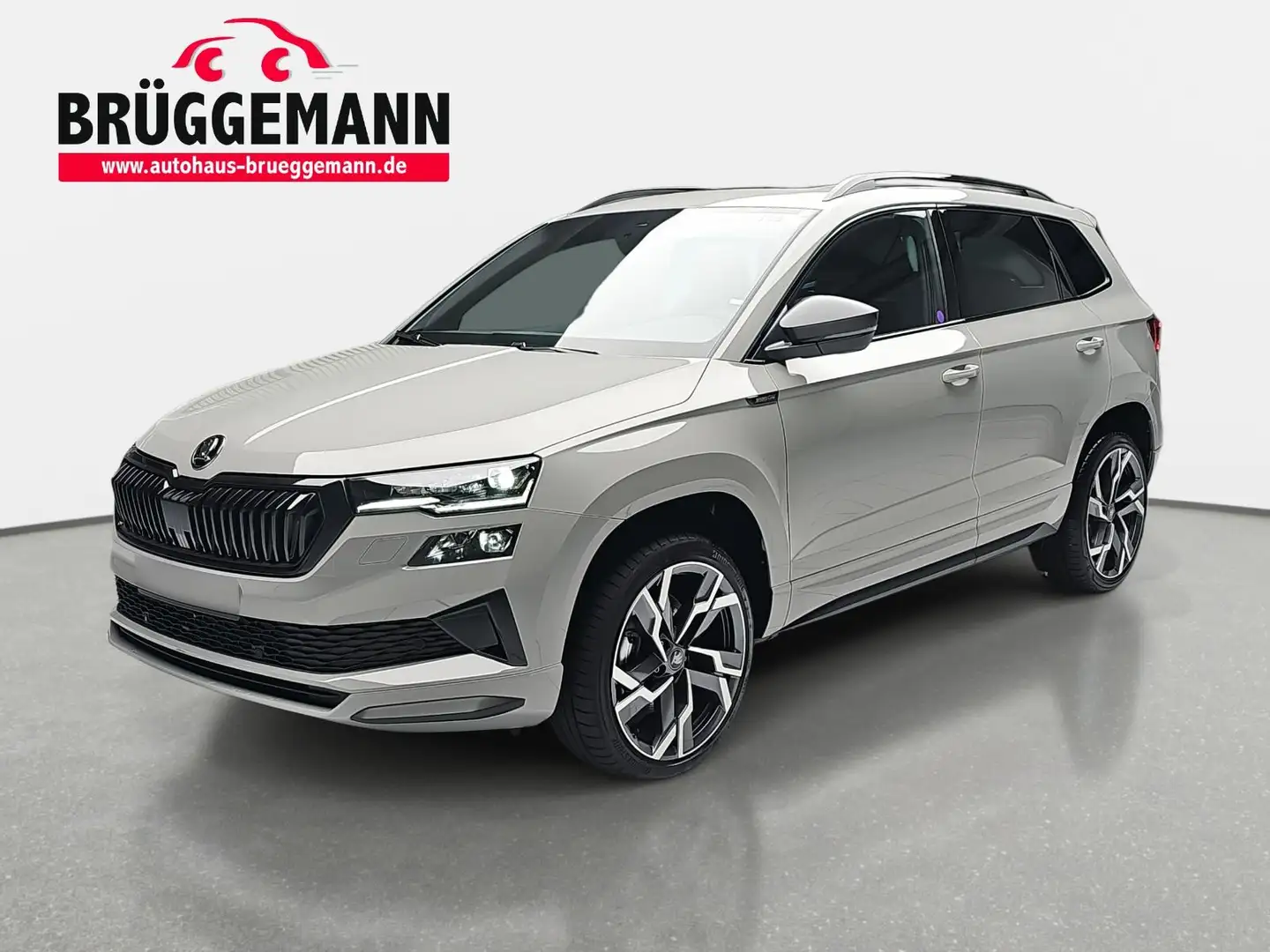 Skoda Karoq KAROQ 1.5 TSI DSG SPORTLINE NAVI LED PANO WINTER K Gris - 1