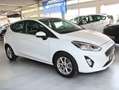Ford Fiesta MHEV Titanium 5-trg Klima LED WinterPaket 1.Hand Bianco - thumbnail 6