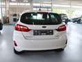 Ford Fiesta MHEV Titanium 5-trg Klima LED WinterPaket 1.Hand Bianco - thumbnail 4