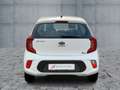 Kia Picanto 1.0 EDITION MFA+MFL+NSW+SHZ+LENKRAD BEH. Weiß - thumbnail 5
