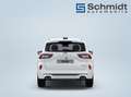 Ford Kuga ST-Line 2,5L Duratec FHEV 180PS A FWD Weiß - thumbnail 7