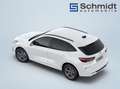 Ford Kuga ST-Line 2,5L Duratec FHEV 180PS A FWD Weiß - thumbnail 8