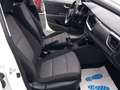 Kia Stonic 1.0 t-gdi mhev Urban 100cv mt Blanco - thumbnail 19