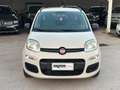 Fiat Panda Panda 1.2 EasyPower Easy Beige - thumbnail 11
