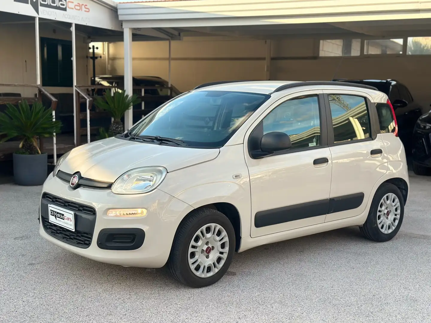 Fiat Panda Panda 1.2 EasyPower Easy Beige - 2