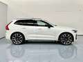 Volvo XC60 T6 Recharge Ultimate Dark Blanco - thumbnail 2