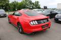 Ford Mustang 2,3 EcoBoost *Unfallfrei* *Ö-Auslieferung * Rot - thumbnail 13