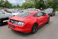 Ford Mustang 2,3 EcoBoost *Unfallfrei* *Ö-Auslieferung * Rot - thumbnail 10