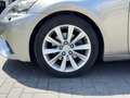 Lexus IS 300 300h First Edition | Navigatie, Parkeersensoren, 1 Gris - thumbnail 9