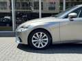 Lexus IS 300 300h First Edition | Navigatie, Parkeersensoren, 1 Gris - thumbnail 6