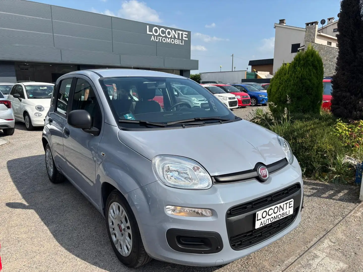 Fiat Panda 1.0 hybrid Launch Edition s Szürke - 1