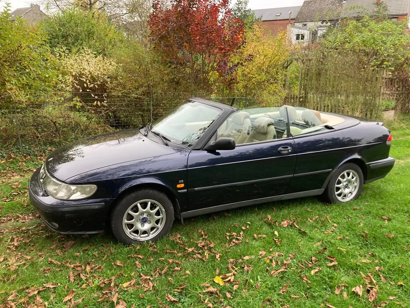 Saab 9-3 Cabriolet Bleu - 2
