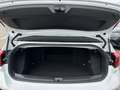 Volkswagen T-Roc Cabriolet R-Line 1.5 TSI DSG AHK Navi IQ:Light Led Blanc - thumbnail 10