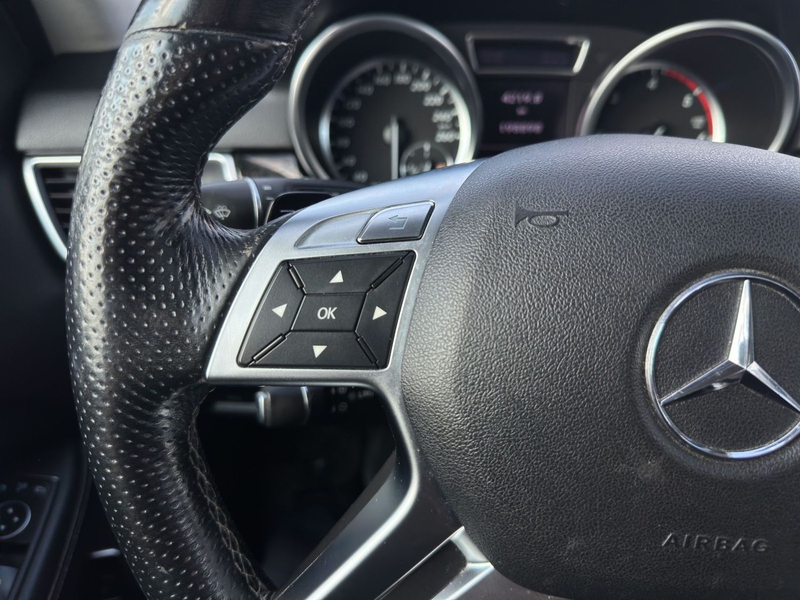 Mercedes-Benz ML 250 CDI BlueTec   AHK  "Sport Paket" — photo 15