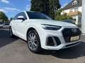 Audi Q5 50 TDI 3.0 quattro S line *Standheizung* Weiß - thumbnail 3