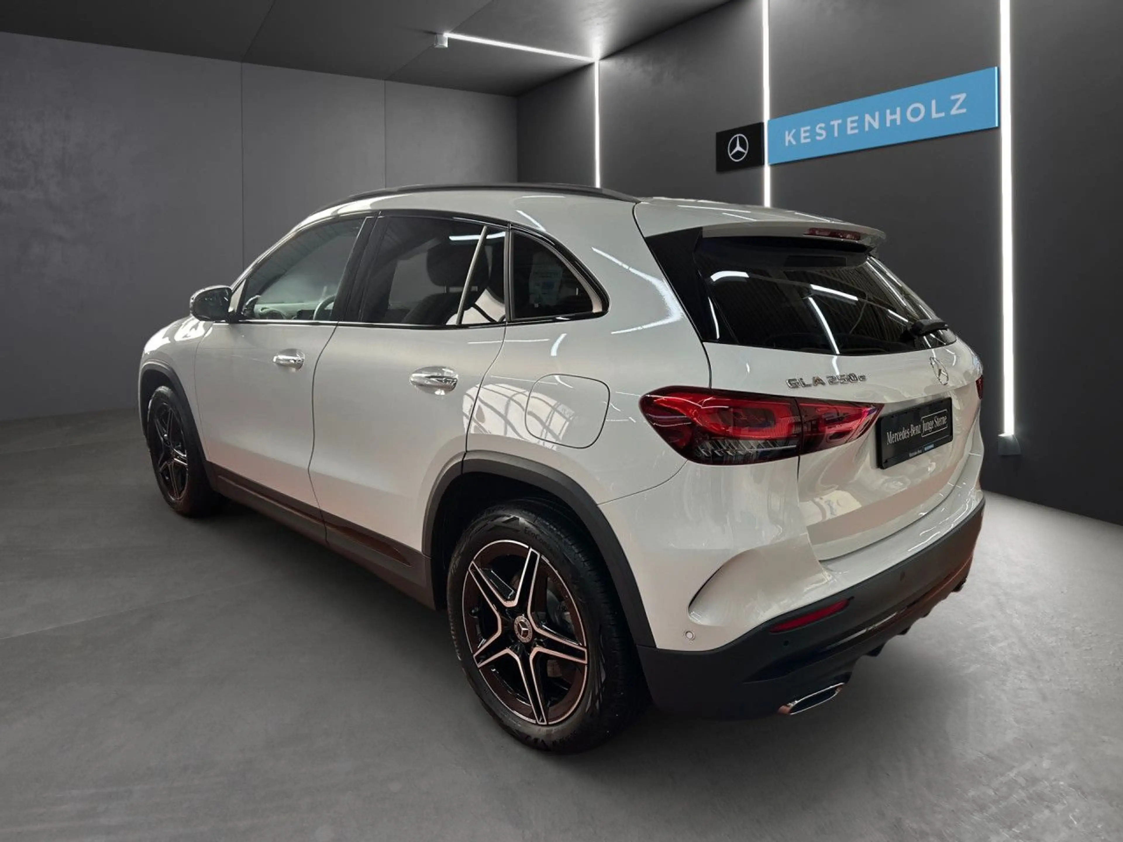 Mercedes-Benz GLA 250 e AMG Distr+ LED Night Keyl-GO Kamera PTS — photo 6