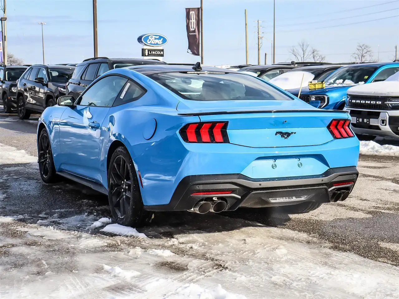 Ford Mustang fotografie Ford Mustang