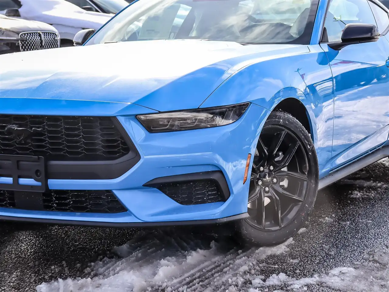Ford Mustang fotografie Ford Mustang
