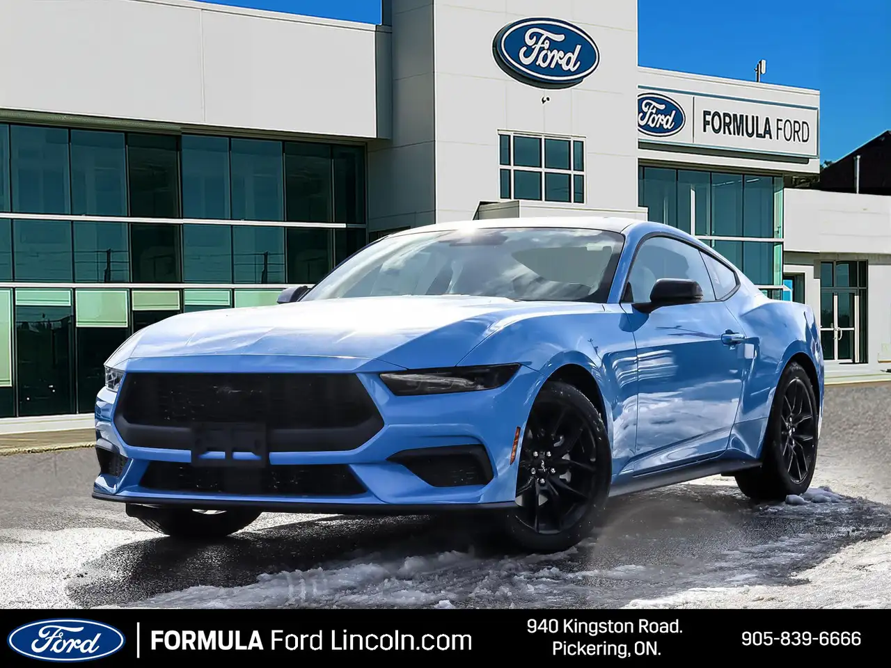Ford Mustang fotografie Ford Mustang