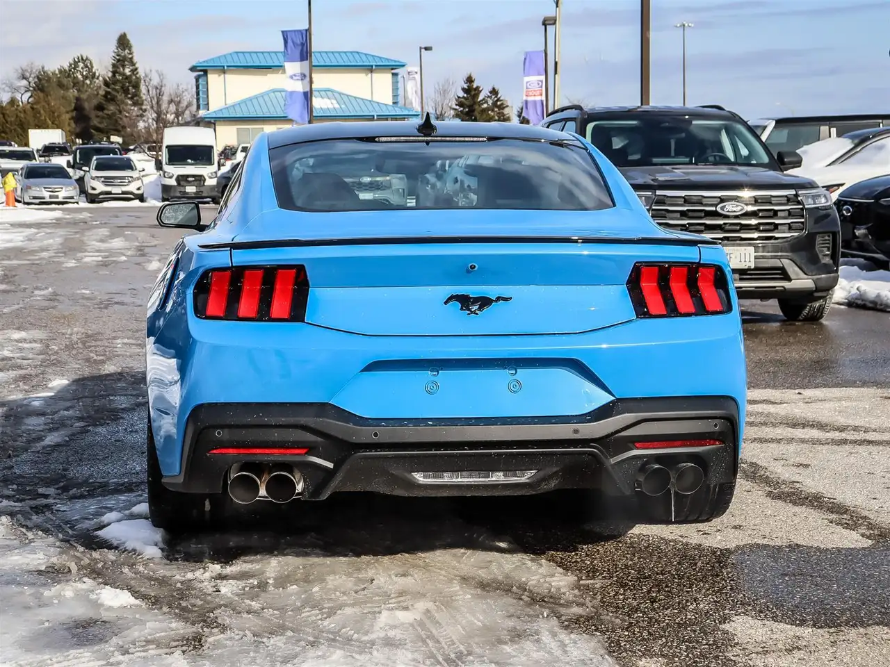 Ford Mustang fotografie Ford Mustang