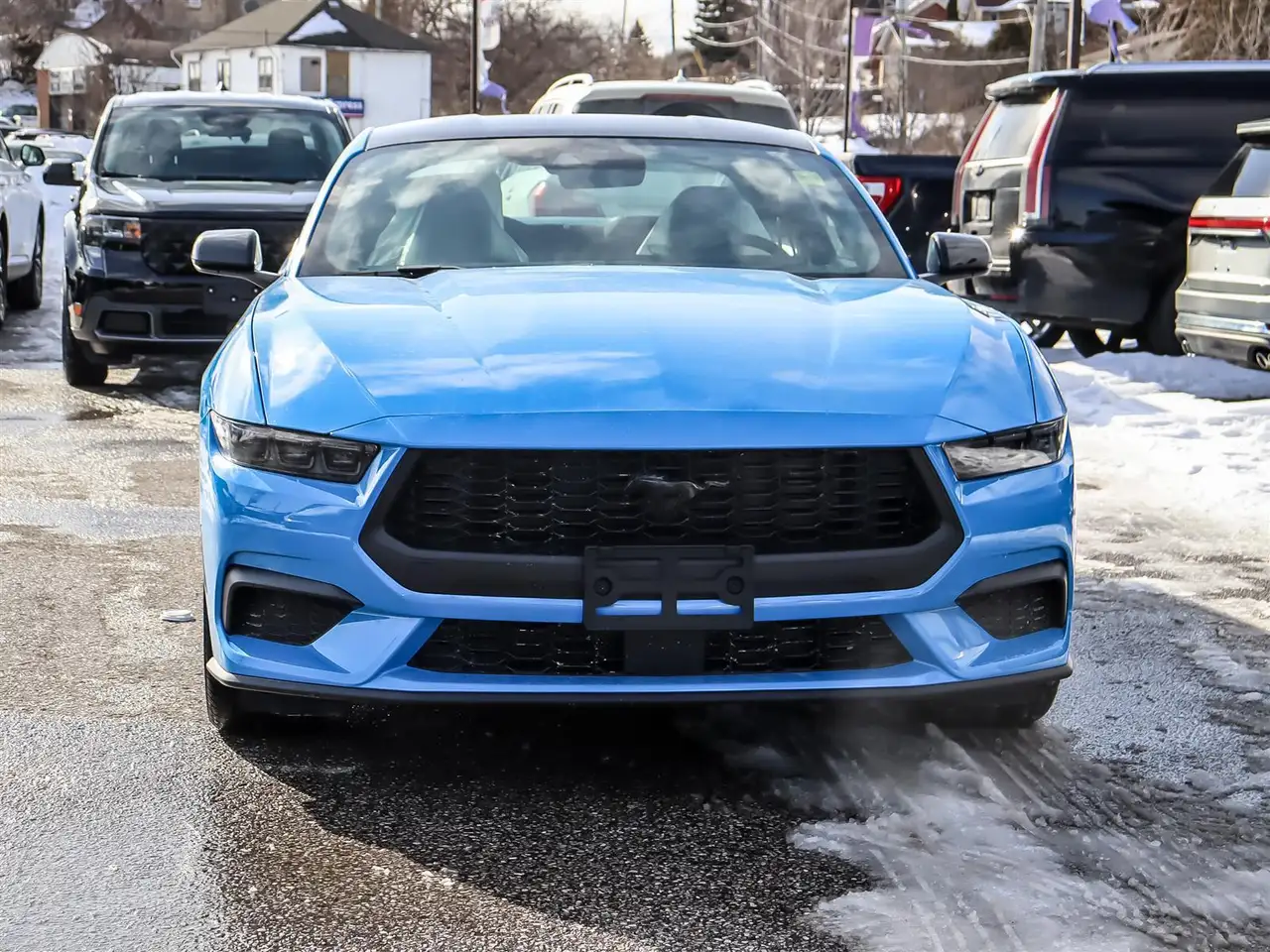 Ford Mustang fotografie Ford Mustang