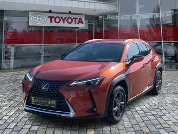 UX 250 h Style Edition zuverlässiger Crossover