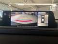 Mazda CX-30 e-SKYACTIV X /360° Kamera/Bose/ Grau - thumbnail 26