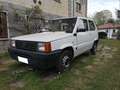 Fiat Panda Blanc - thumbnail 5