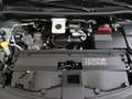 Nissan Townstar EV Evalia L2H1 121 1AT N-Connecta | Achteruitrijcamer Grau - thumbnail 14