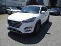 Hyundai TUCSON Trend Mild-Hybrid 4WD Automatik NAVI Camera Weiß - thumbnail 7