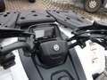 CFMOTO CForce 450 CForce  450 S ABS EPS Blanco - thumbnail 8