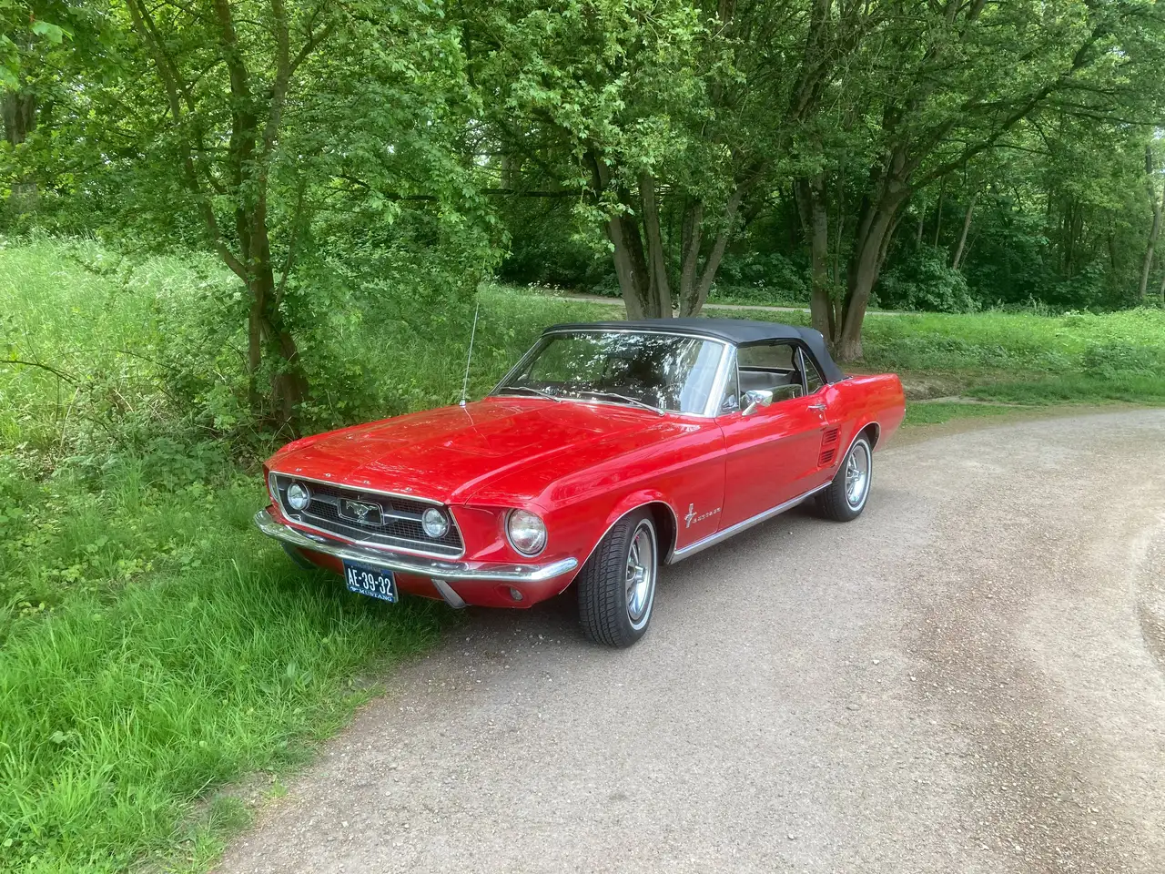 Ford Mustang Convertible, foto 3