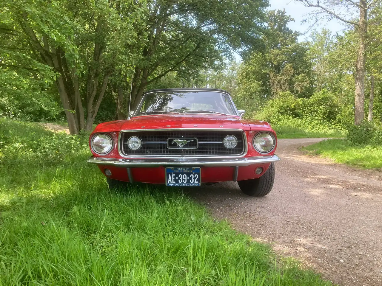Ford Mustang Convertible, foto 12