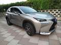 Lexus NX 300h Beige - thumbnail 2