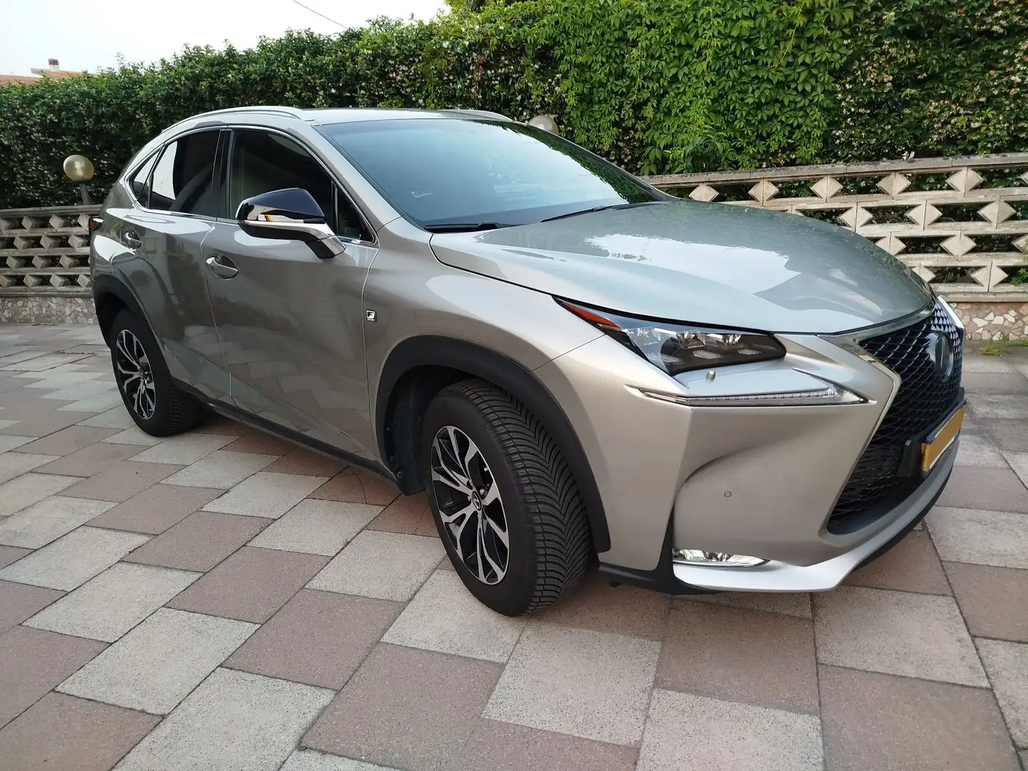 Lexus NX 300h Beige - 2