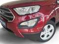 Ford EcoSport 1.0 EcoBoost Cool&Connect Start/Stopp Rot - thumbnail 5