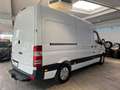 Mercedes-Benz Sprinter 313 CDI Hoch+Lang*L2-H2*Garantie* Білий - thumbnail 35