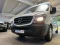 Mercedes-Benz Sprinter 313 CDI Hoch+Lang*L2-H2*Garantie* Білий - thumbnail 13