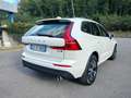 Volvo XC60 XC60 B4 (d) AWD Geartronic Momentum Pro Bianco - thumbnail 6
