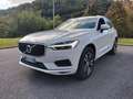 Volvo XC60 XC60 B4 (d) AWD Geartronic Momentum Pro Bianco - thumbnail 3