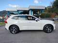 Volvo XC60 XC60 B4 (d) AWD Geartronic Momentum Pro Bianco - thumbnail 4