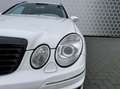 Mercedes-Benz E 55 AMG Combi Weiß - thumbnail 28