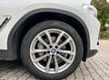BMW X3 xdrive30i xLine 252cv auto/Panorama/ACC/H-Up Bianco - thumbnail 14
