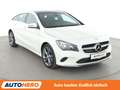 Mercedes-Benz CLA 250 Shooting Brake 4Matic Urban Aut.*NAVI*CAM* Blanc - thumbnail 8