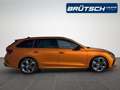 Skoda Octavia Combi 2.0 TSI RS DSG / PANORAMA / STHZG / AHK / AC Orange - thumbnail 8