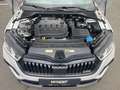 Skoda Octavia RS 2.0 TDI DSG Lim. Navi ACC RFK Keyless Weiß - thumbnail 12