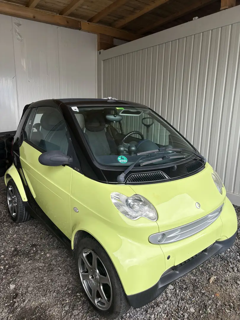 smart city-coupé/city-cabrio cabrio & pulse Softouch - 2