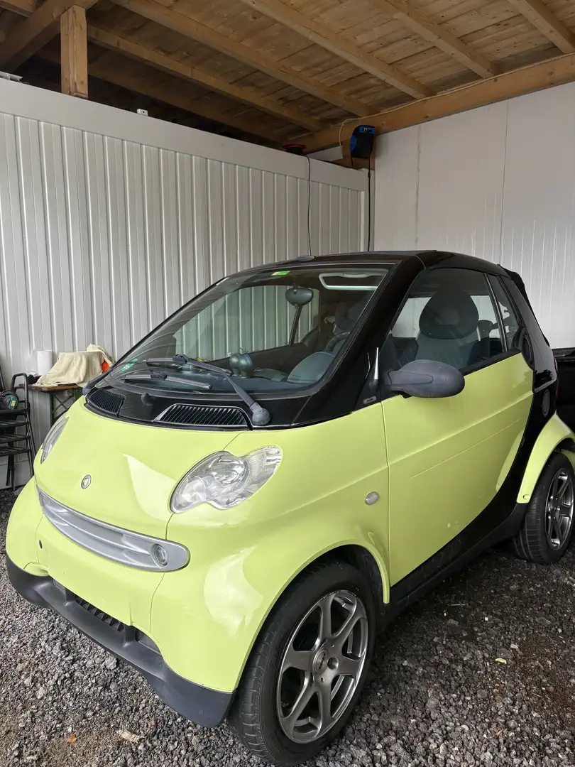 smart city-coupé/city-cabrio cabrio & pulse Softouch - 1